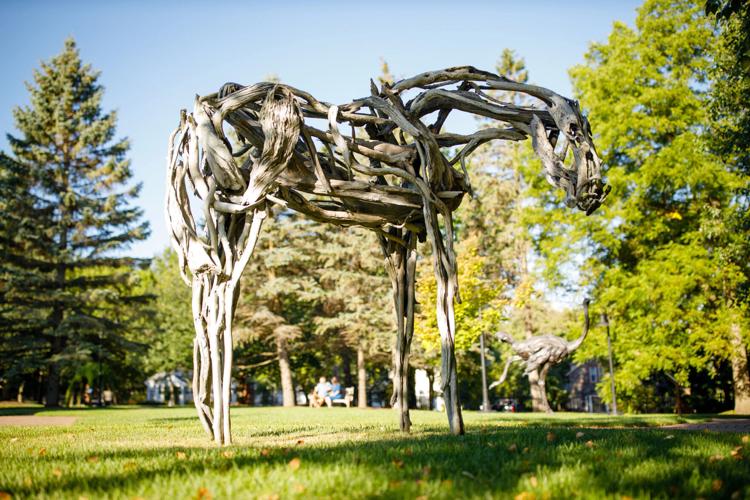 011 Horse Sculpture at Leigh Yawkey Woodson Art Museum in Wausau.jpg